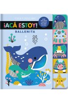 ¡Acá estoy! Ballenita